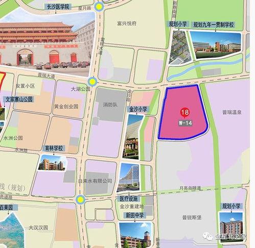 月亮岛商业现状最新爆料,揭秘最新爆料背后的商业奇迹